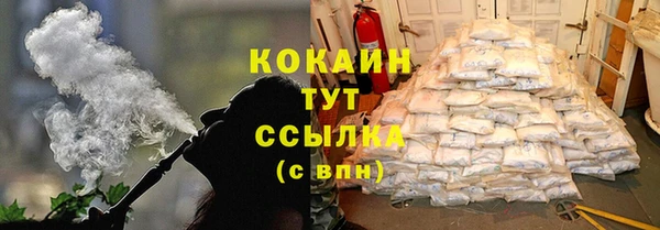 2c-b Богородицк