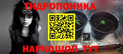 дмт Свободный