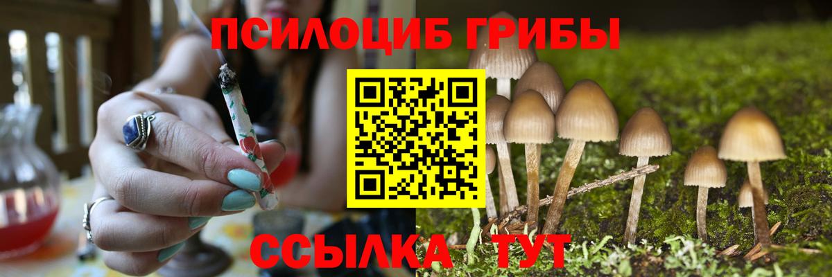 Псилоцибиновые грибы MAGIC MUSHROOMS  Вход с VPN  Пыть-Ях 